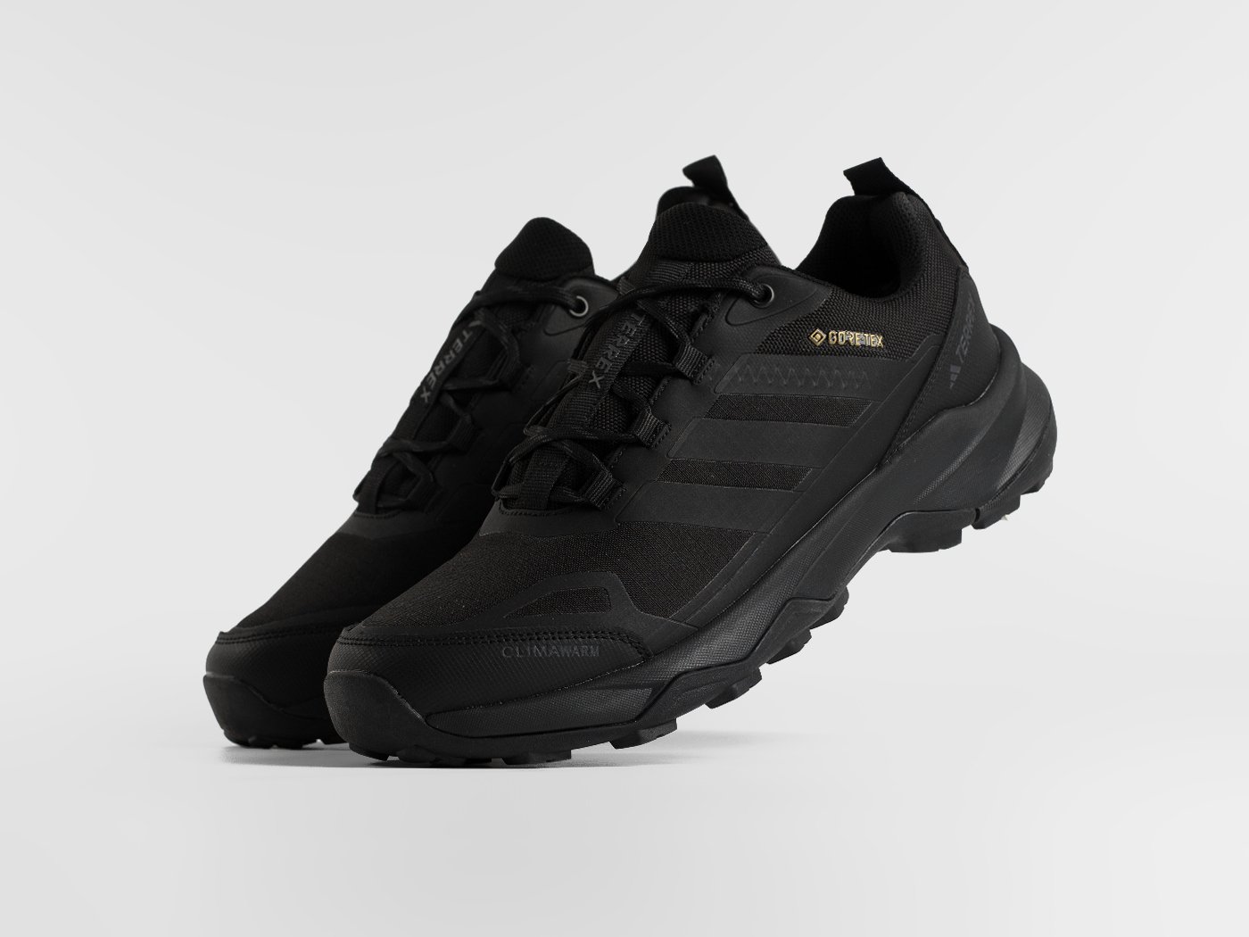 Кроссовки Adidas Terrex Skychaser AX5