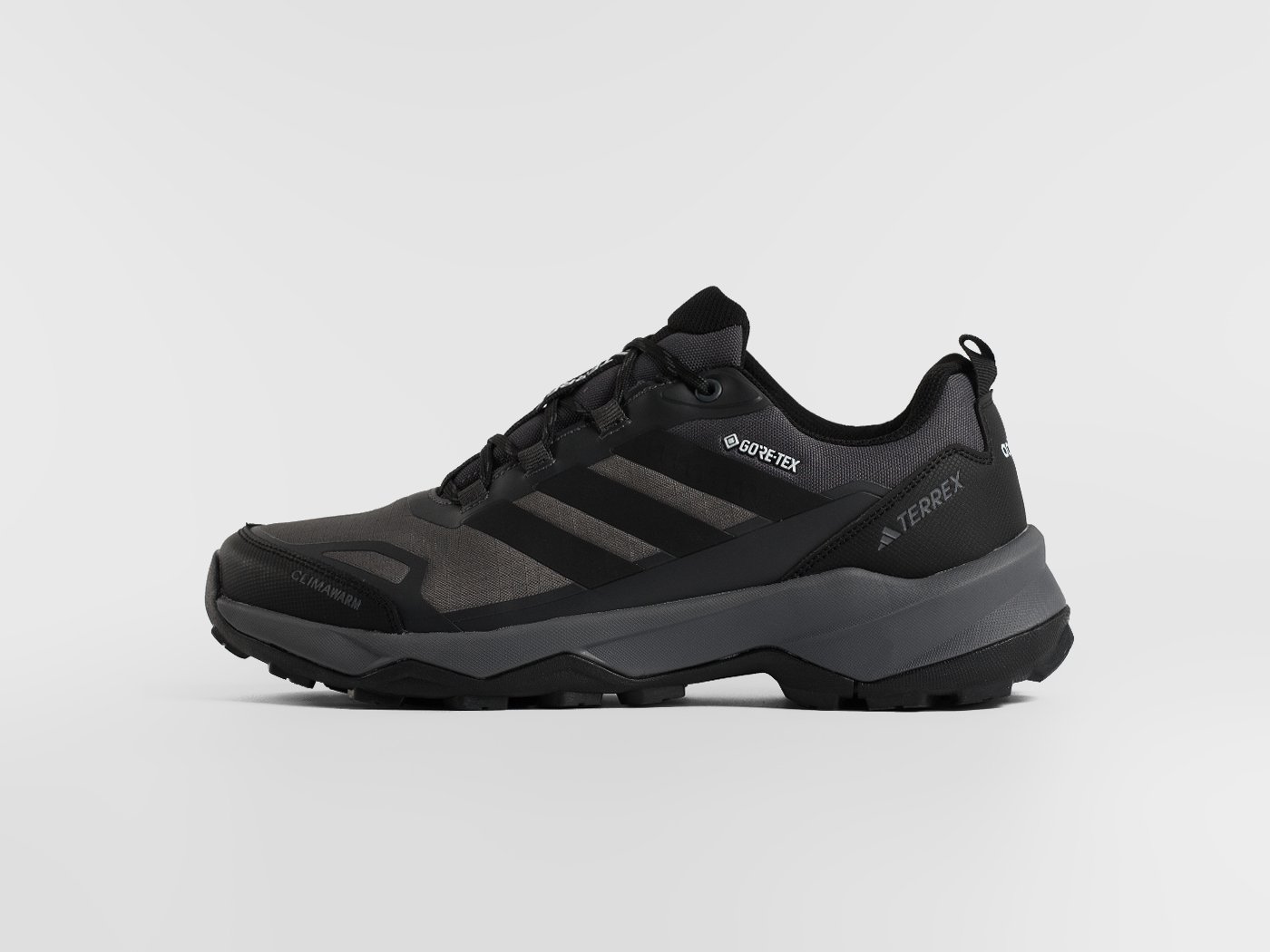 Кроссовки Adidas Terrex Skychaser AX5