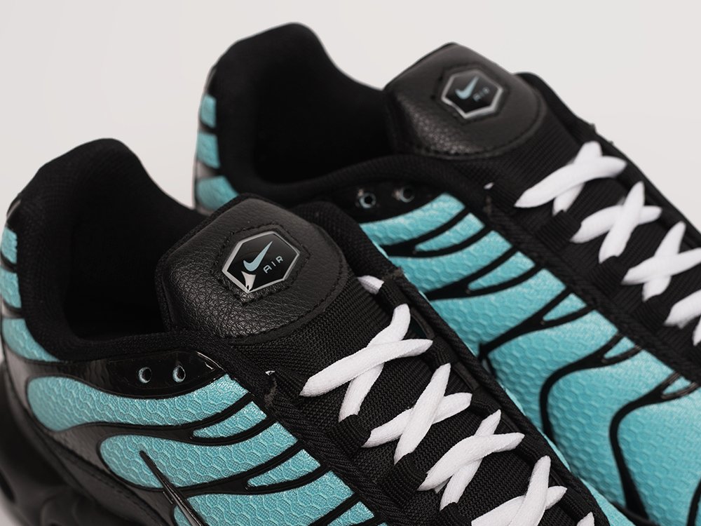 Кроссовки Nike Air Max Plus TN
