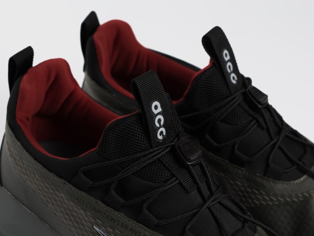 Кроссовки Nike ACG Mountain Fly Low