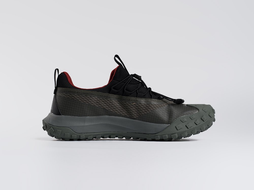Кроссовки Nike ACG Mountain Fly Low