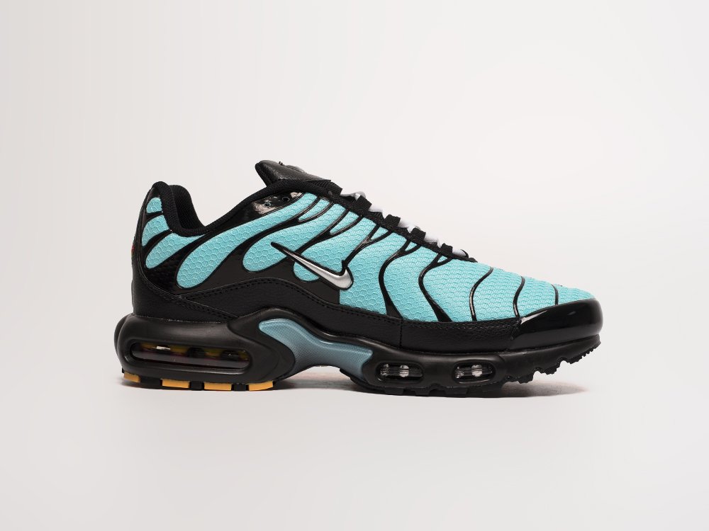 Кроссовки Nike Air Max Plus TN