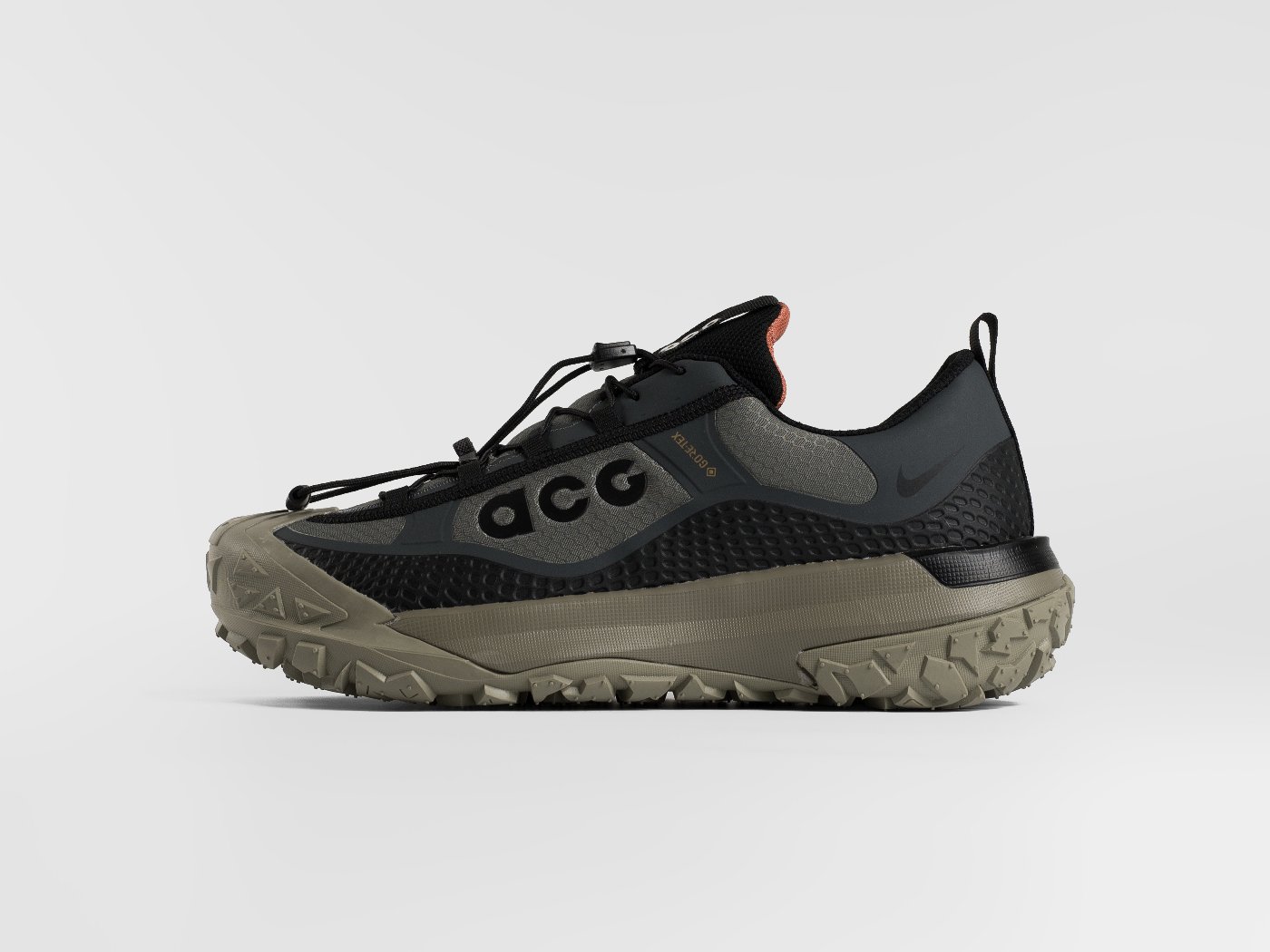 Кроссовки Nike ACG Mountain Fly Low