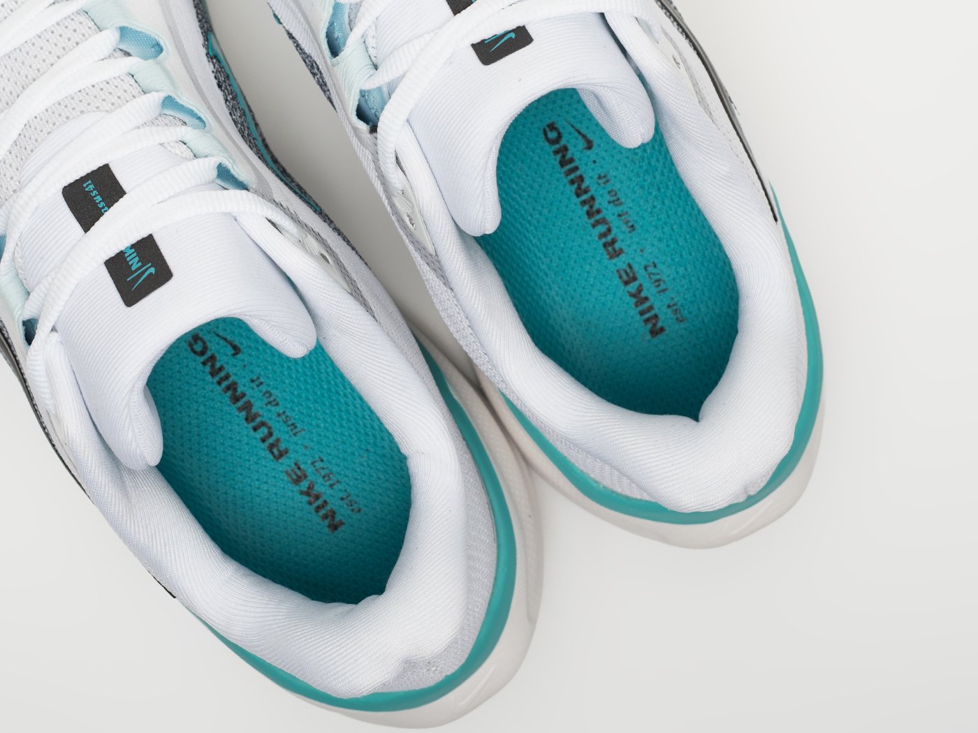 Кроссовки Nike Air Zoom Pegasus 41