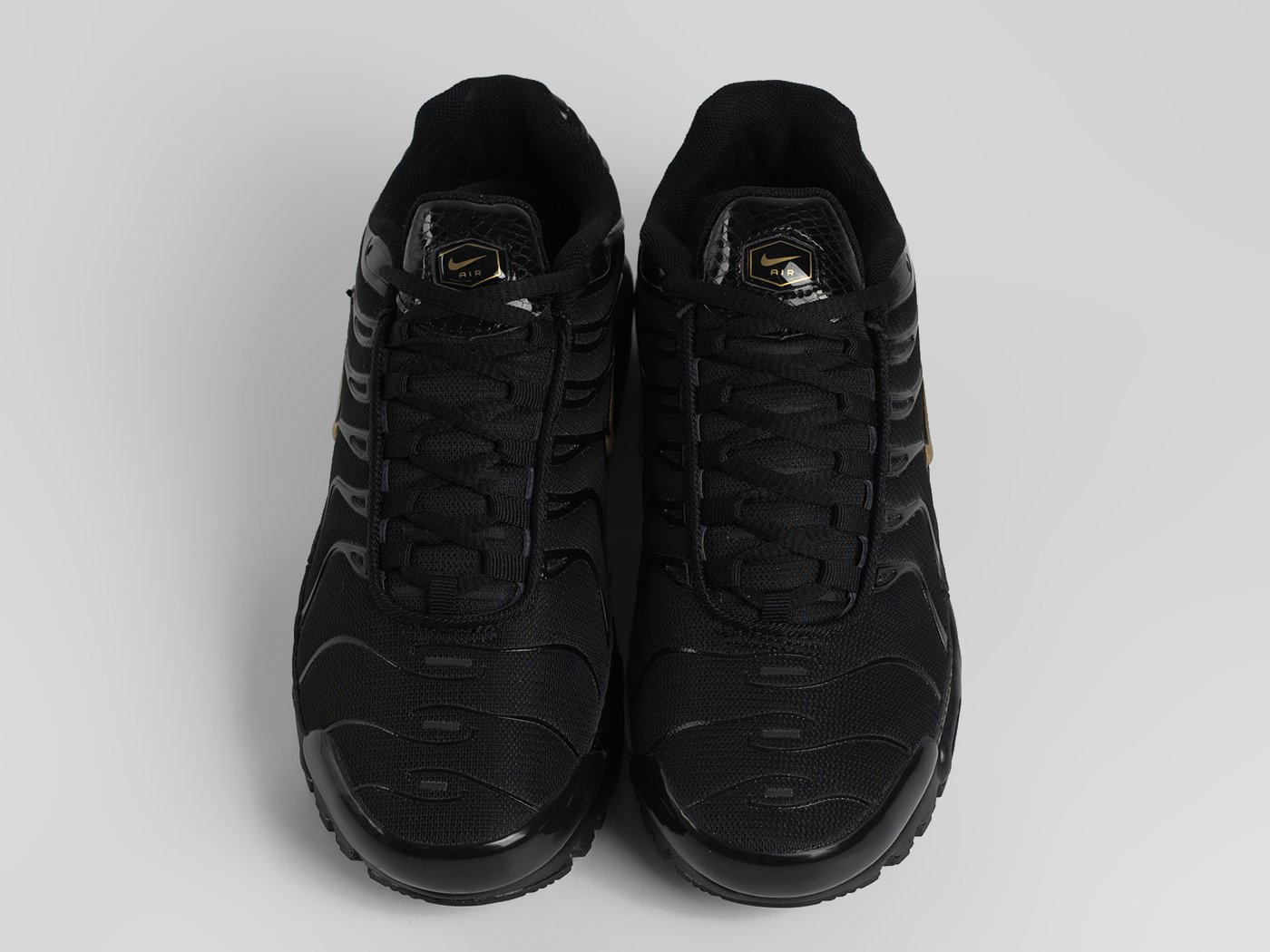 Кроссовки Nike Air Max Plus TN