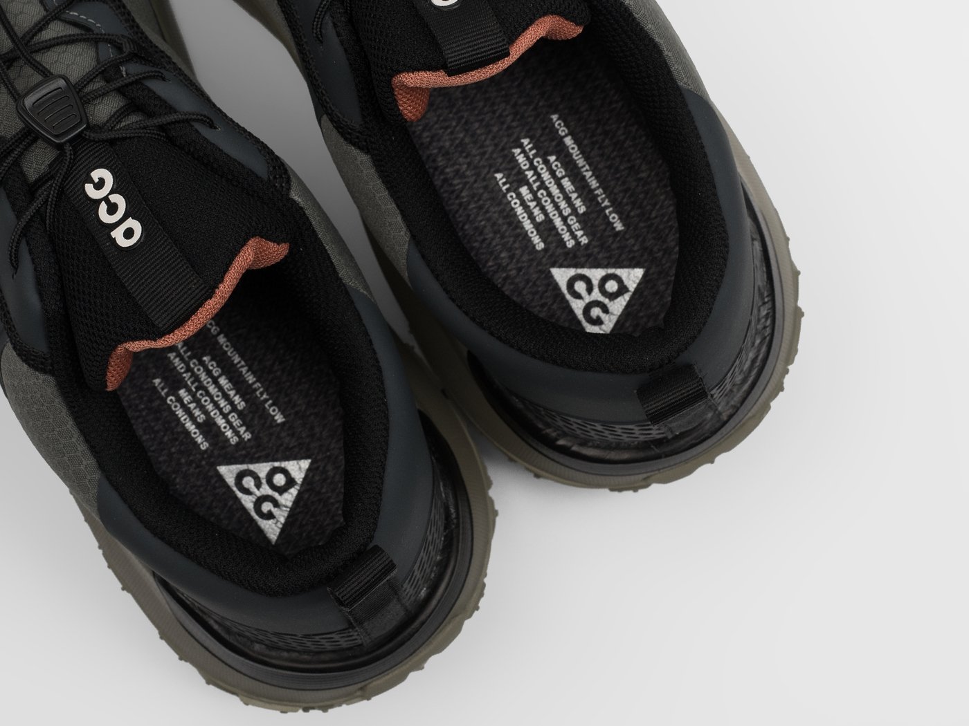 Кроссовки Nike ACG Mountain Fly Low