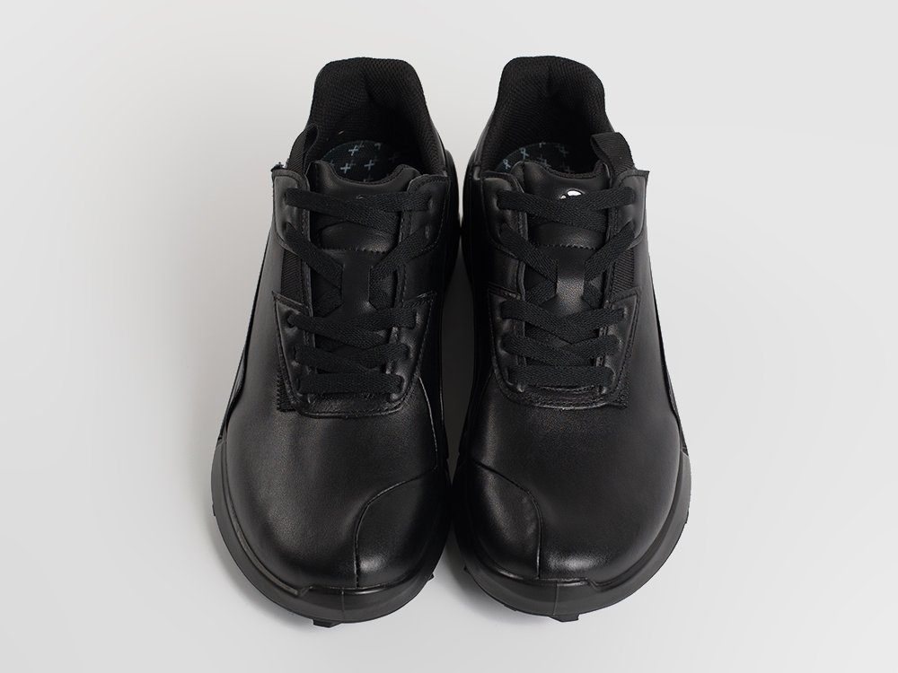 Кроссовки ECCO BIOM 2.1 X MOUNTAIN